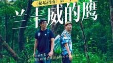 工业蒸汽钢制光排管散热器片